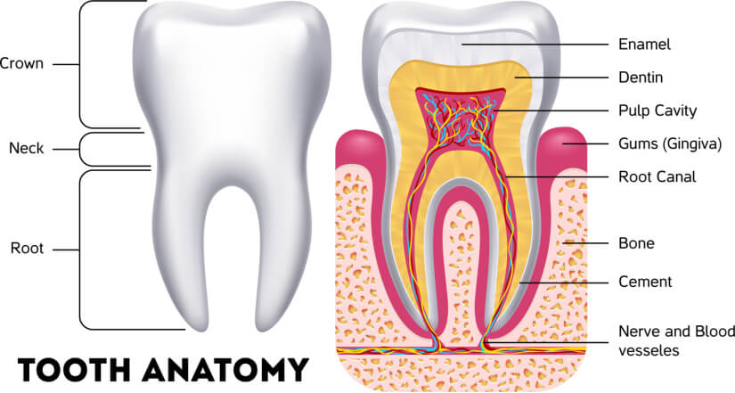 Tooth sensitivity